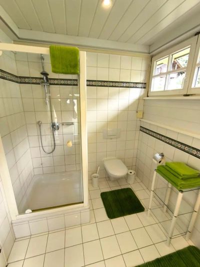Dusche im Badezimmer der Ferienwohnung Andreas