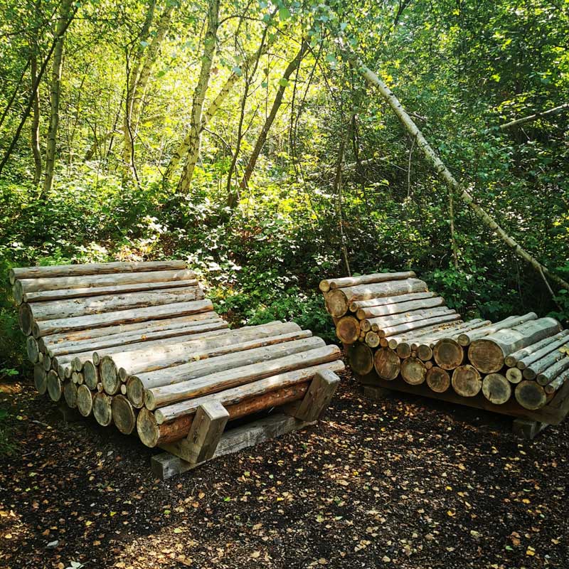 Liegestühle im Bayerischen Wald