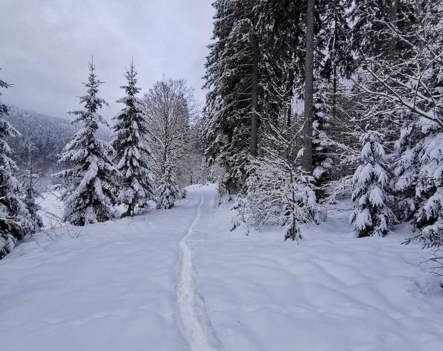 Wanderweg im Winter